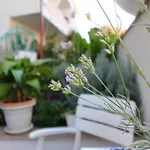 Apartments Angel - Nice Garden