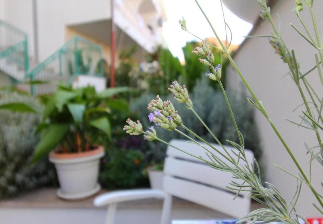 Angel - Garden Apartma *