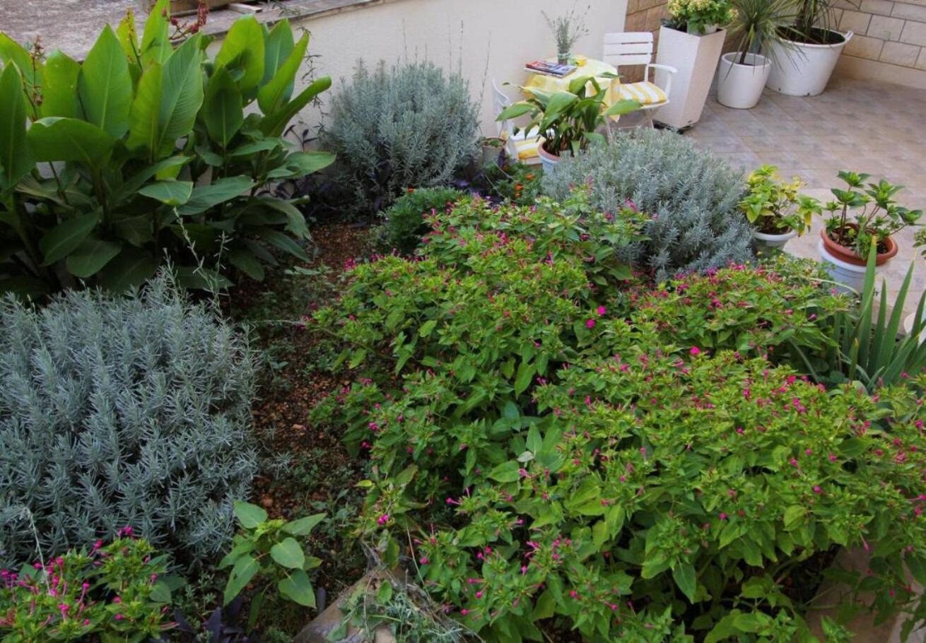 Angel - Garden Apartment Makarska